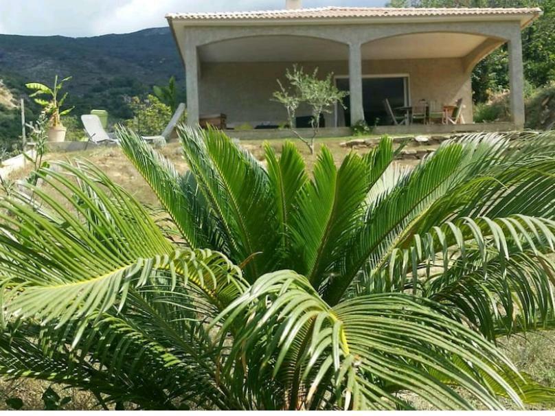 Apartmán Ma Vie La Patrimonio Exteriér fotografie